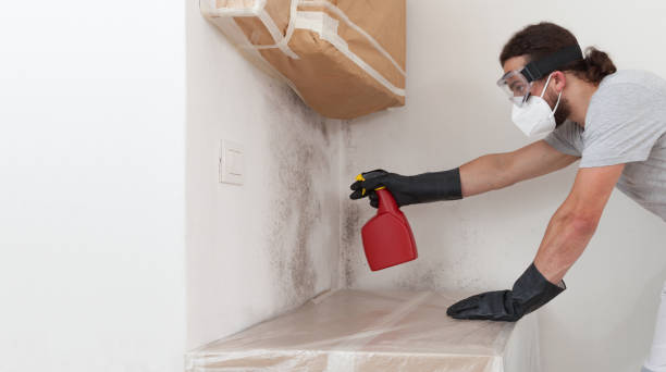 Professional Mold Testing technician working in Sayville, NY